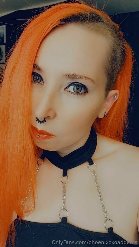 trio à gros seins onlyfans meilleur pornographique photo