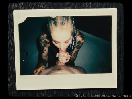 Thecarnalcamera actrice porno img