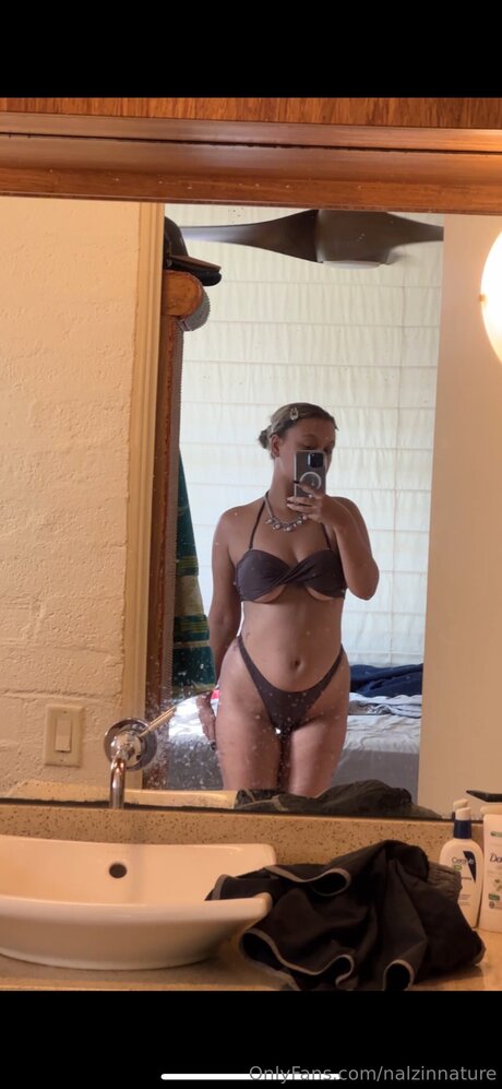 Nalzinnature étoile parfaite photos