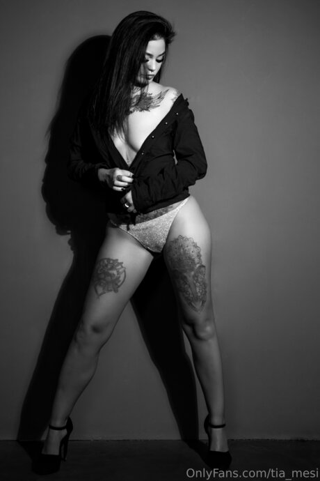 Tia Mesi art star du porno photo