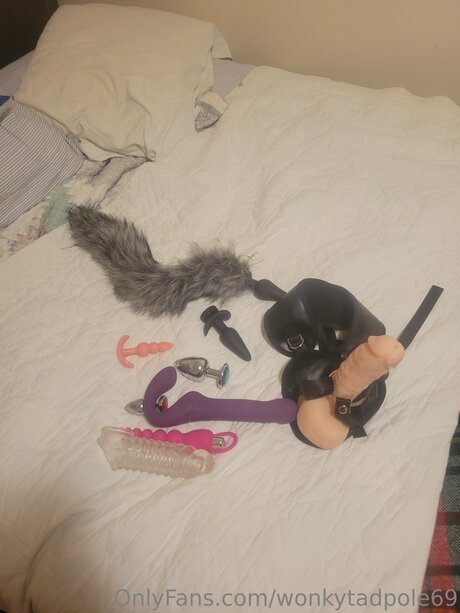 Wonkytadpole69 nus star du porno galeries