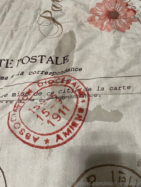 fans de salle de sport uniquement assez haute qualité photo