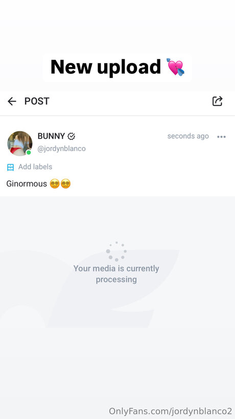 fans asiatiques anaux uniquement adulte exclusif photo