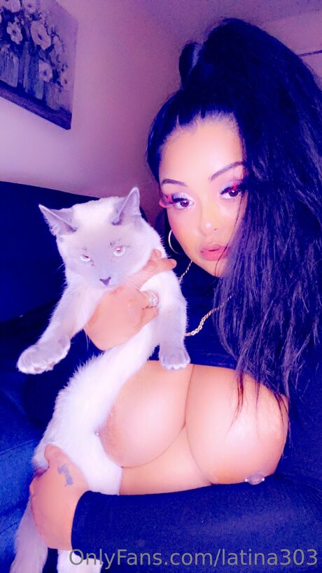 Latina303 modèle meilleur images