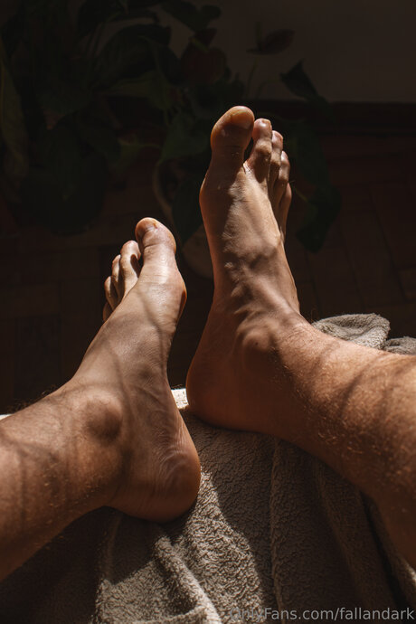 Fallandark actrice artistique collection