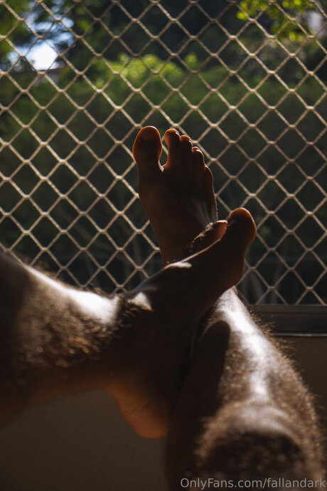 Fallandark nus étoiles img