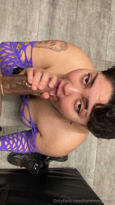 Haremmasterx modèle chaud img