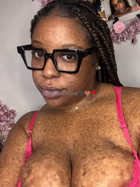 chaton potelé uniquementfans sympa gratuit img