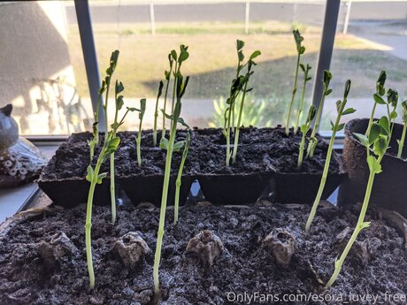 Esora Luvey Free nus de stars du porno photo