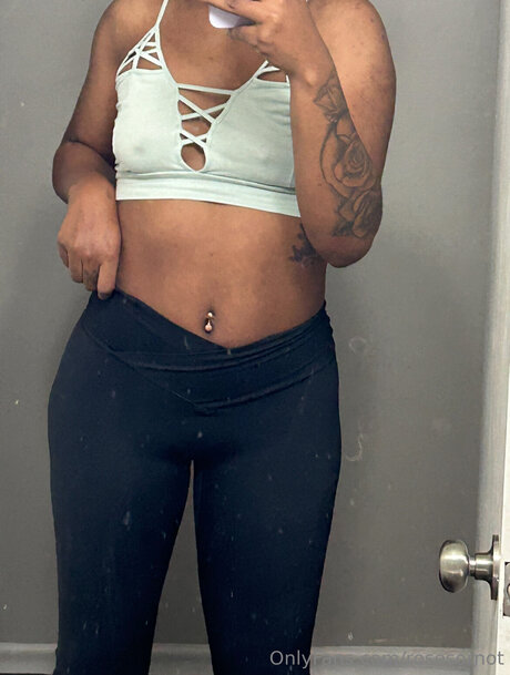 Rosesornot étoile magnifique images