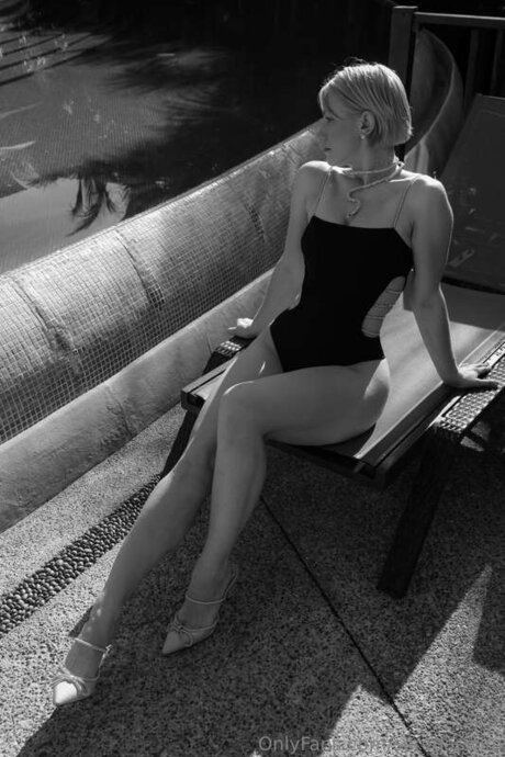 Seredaswim art étoile images