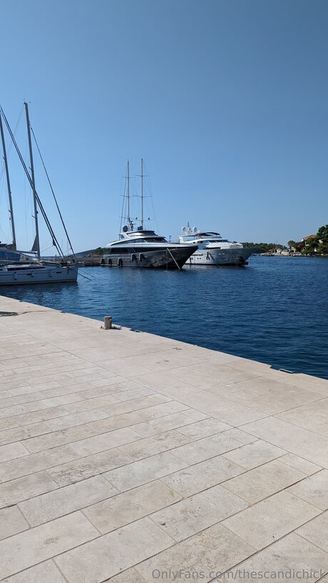 Thescandichick actrice érotique img