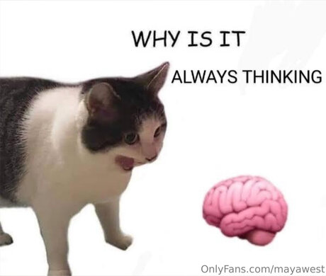 Mayawestfree belle étoile images