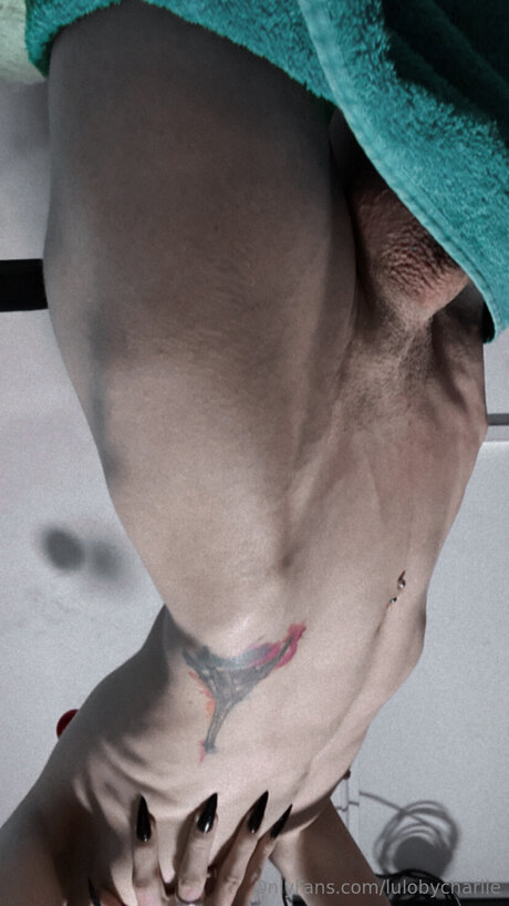 Lulobycharlie haut de star du porno image