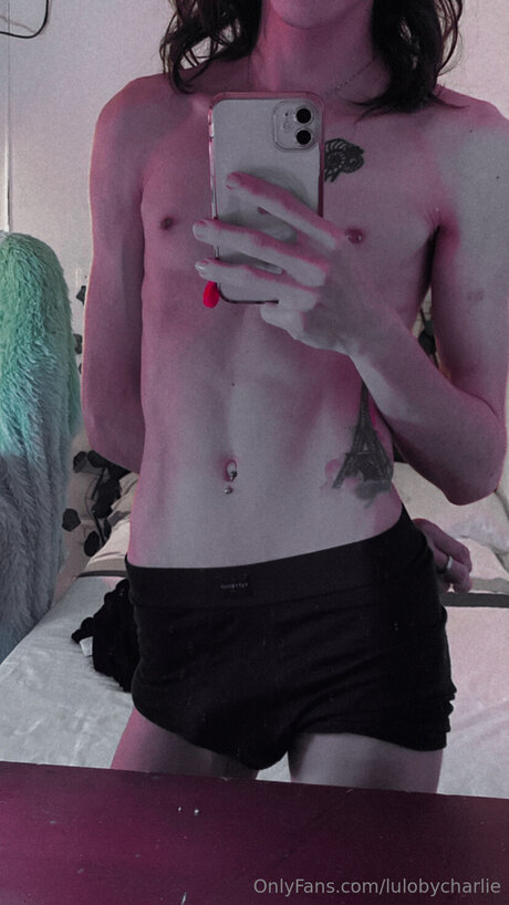 Lulobycharlie nus étoiles galerie