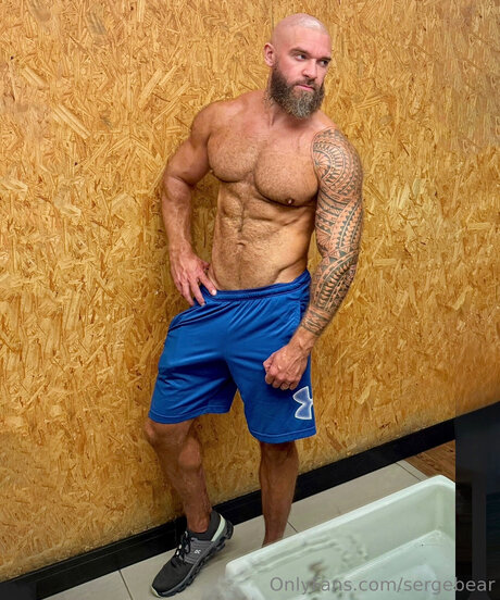 Sergebear actrice libre des photos