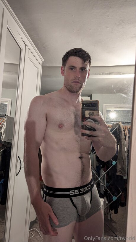 Tworld modèle parfait image