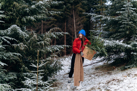 fans de transexuelles sexy uniquement chaud en haute qualité img