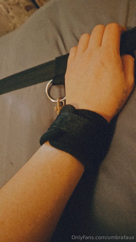 Umbrafaux modèle artistique image