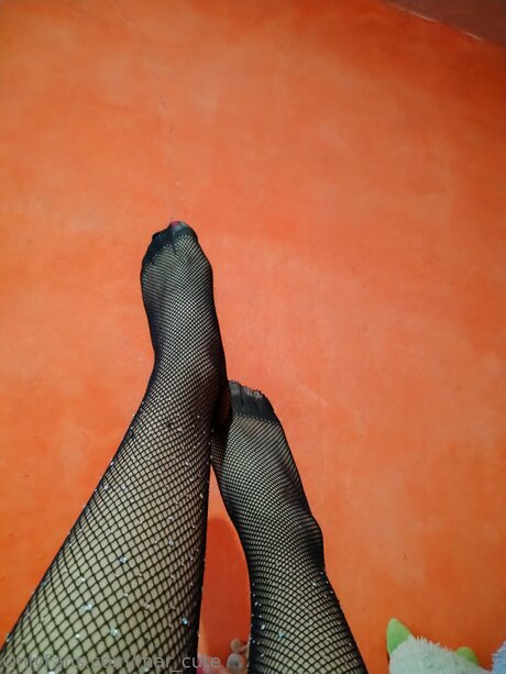 Mar Cute actrice adulte archive