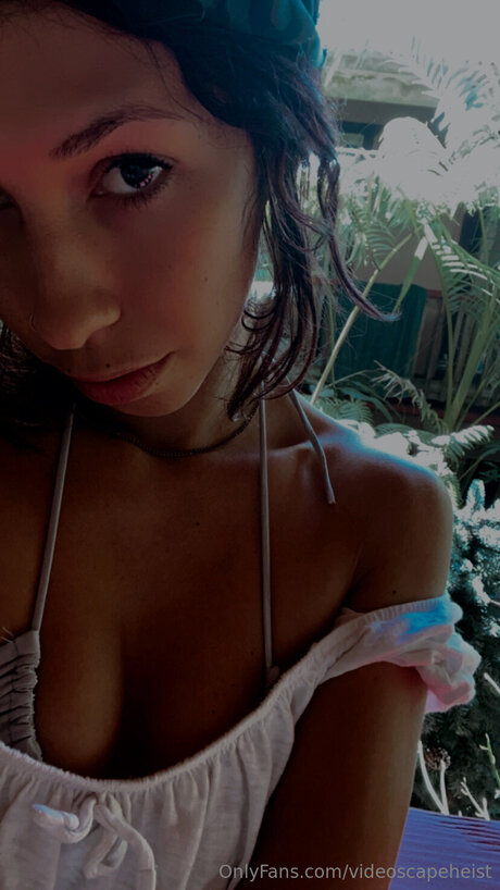 Farrahfahrenhite étoile nue galerie