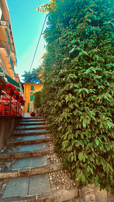 Farrahfahrenhite modèle pornographique collection