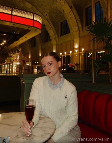 Vallmi haut étoile galeries