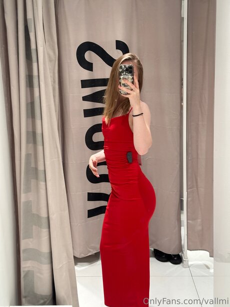 Vallmi modèle gratuit img