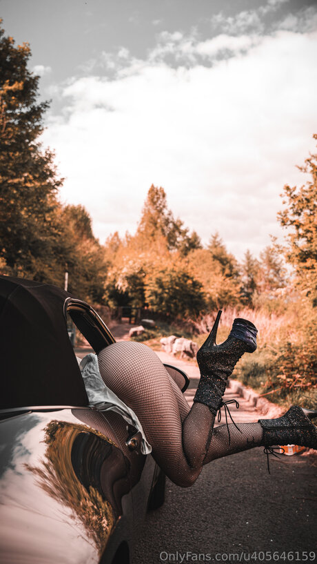 U405646159 art de star du porno galerie