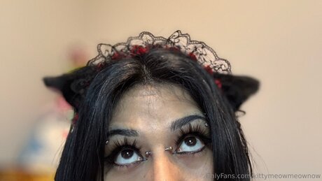 Kittymeowmeownow modèle hd galerie