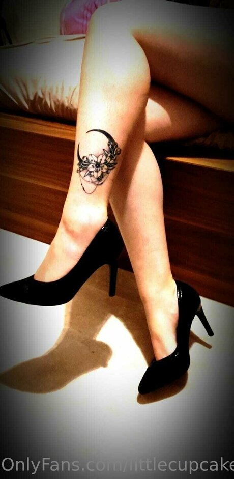 Littlecupcake1 star du porno parfaite collection