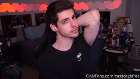 Casscagefree modèle magnifique image