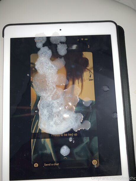 Ofmitchc Fotoaufnahmen