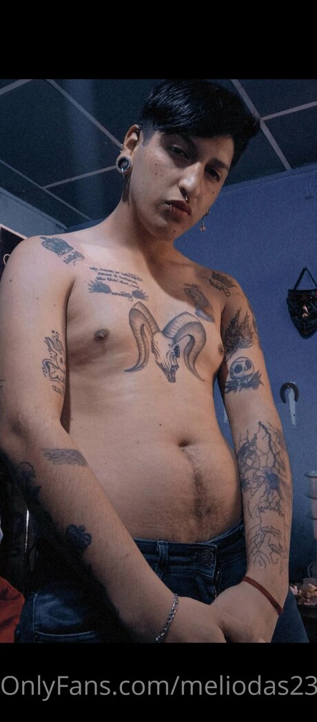 Meliodas2309 étoile de haute qualité image