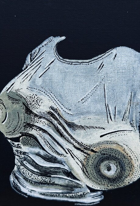 U464958276 modèle exclusif collection