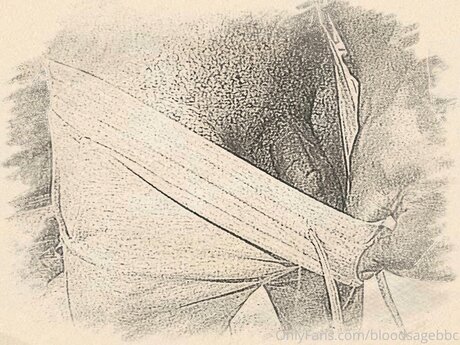 Bloodsagebbc star du porno en haute qualité image