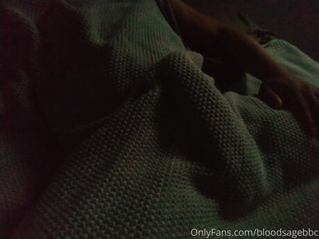 Bloodsagebbc top star des photos