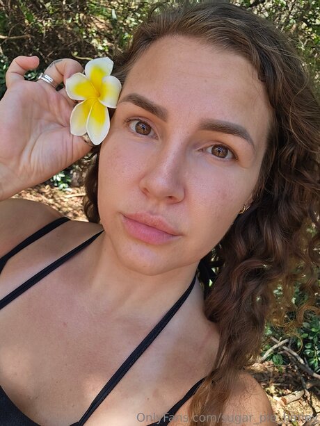 Sugar Pie Honey Profilfoto