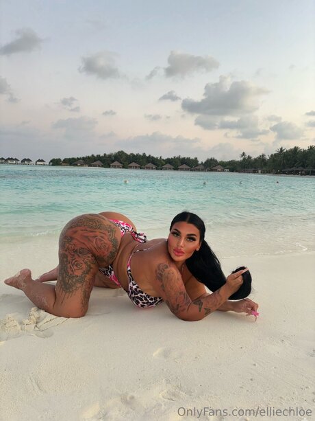 Elliechloe sexe star des photos