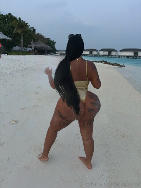 Elliechloe star du porno érotique des photos