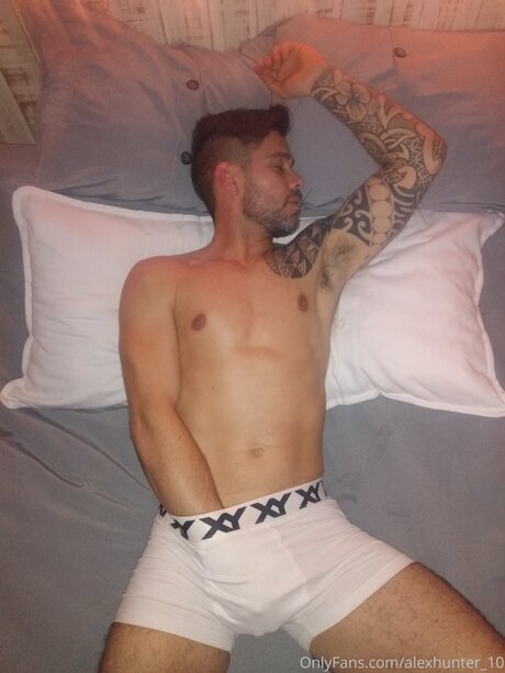 Alexhunter 10 star du porno chaude img