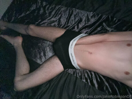 Jakerobinsonof star du porno belle archive