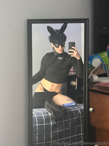 Demondogdyl star du porno sympa images