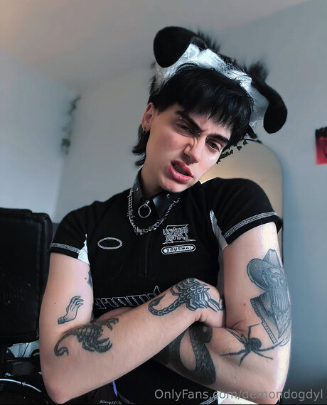 Demondogdyl star du porno exclusive collection