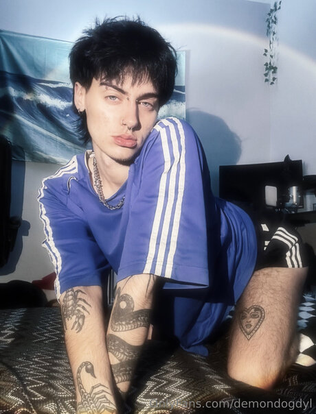 Demondogdyl star du porno nue image