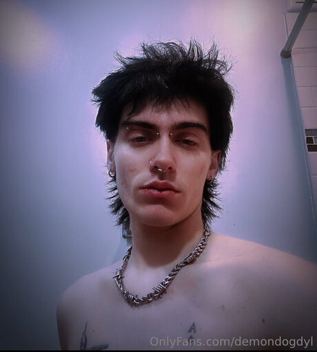 Demondogdyl nus de stars du porno galeries