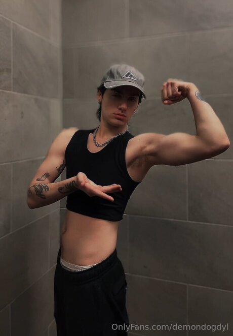 Demondogdyl haut de star du porno galeries