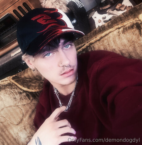 Demondogdyl étoile nue collection