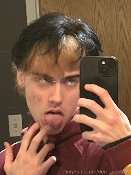 Demondogdyl étoile exclusive galeries