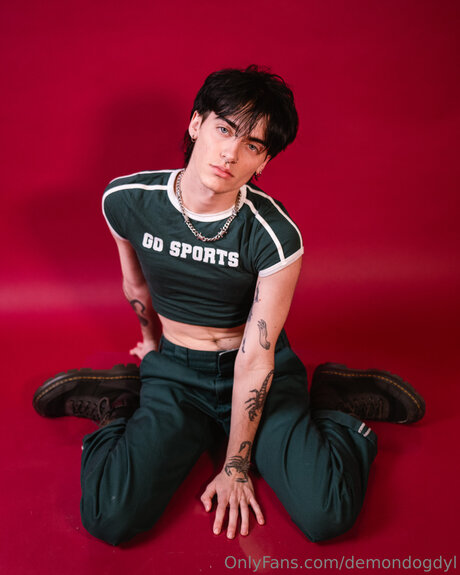 Demondogdyl étoile de l'art photo